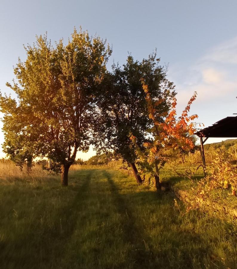 B&B Casa Althea Міло Екстер'єр фото